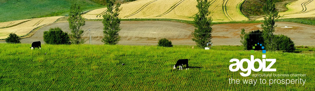 Why the AAMP is vital to SA's agricultural growth