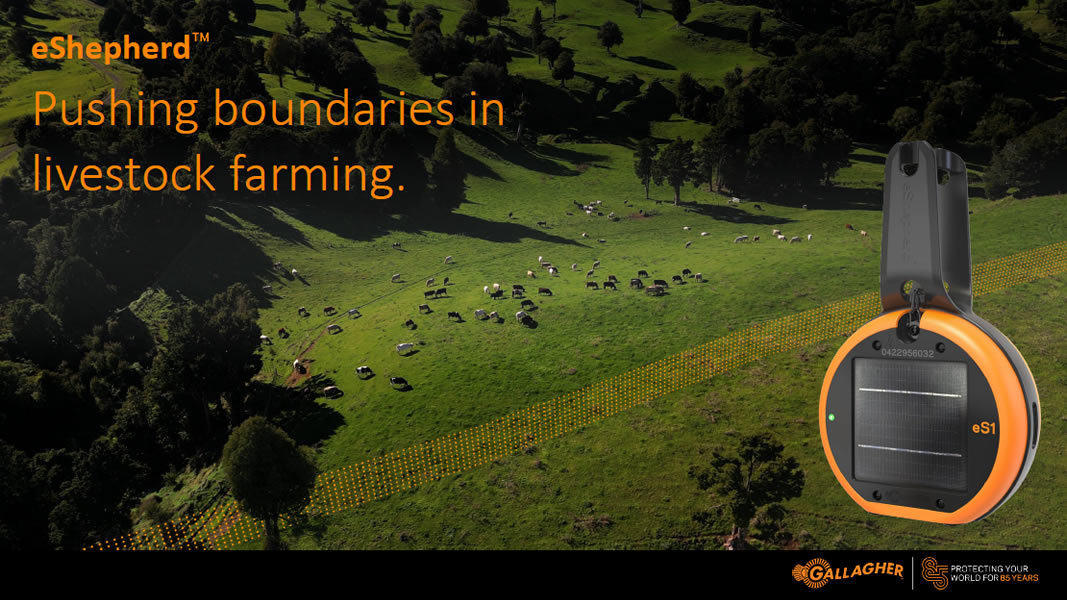 eShepherd Toep (app)