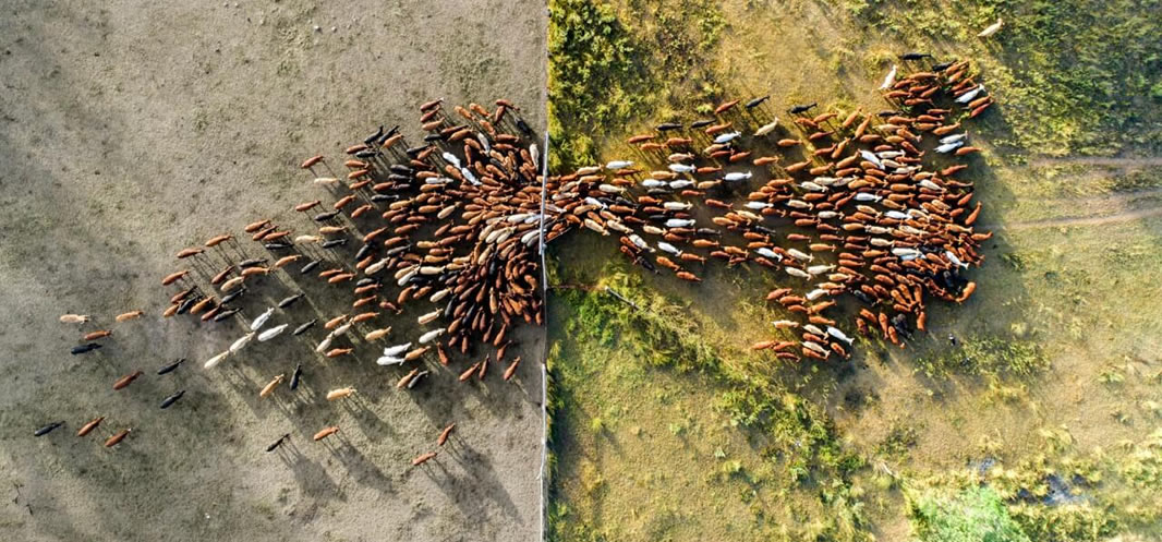 Bek & Klouseer Opdatering