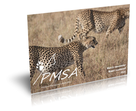 PMF Nuusbrief - Maart 2025